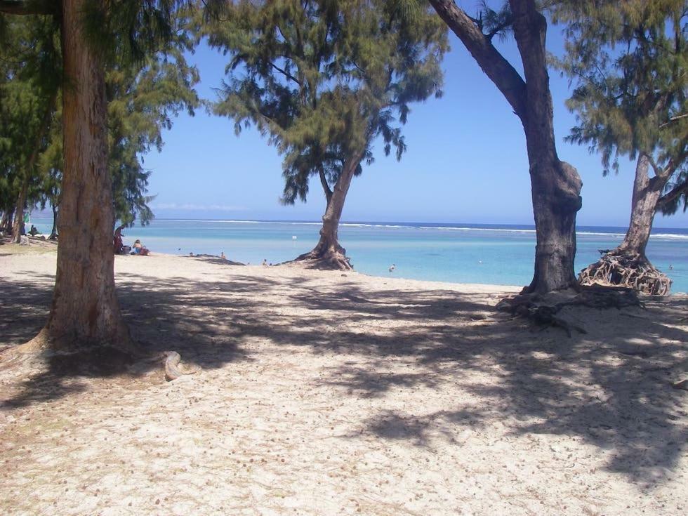 Le Saint Geran - A 3Mn A Pied De La Plage Et De Tous Commerces La Saline Les Bains Eksteriør billede